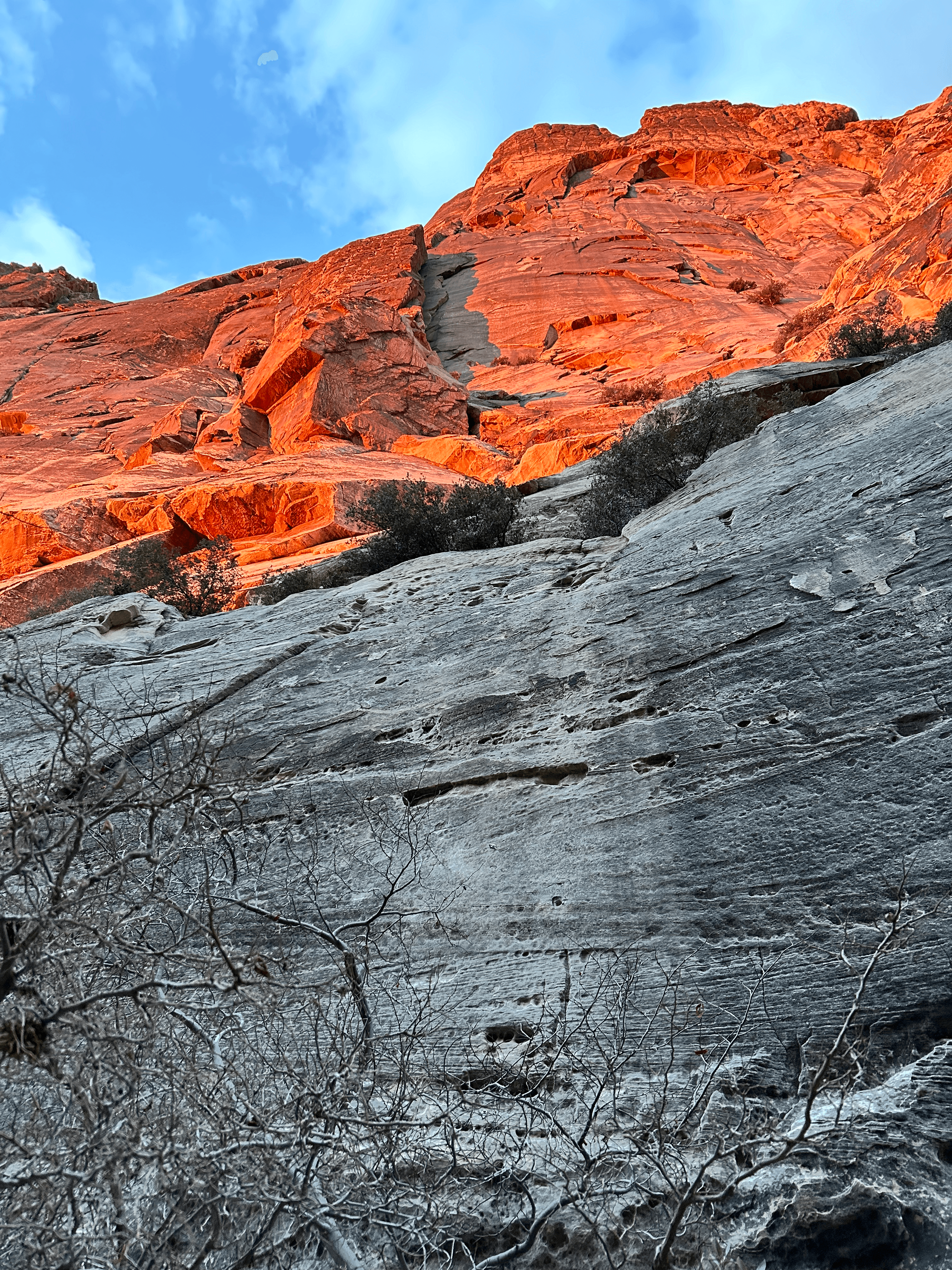 Epinephrine, Red Rocks