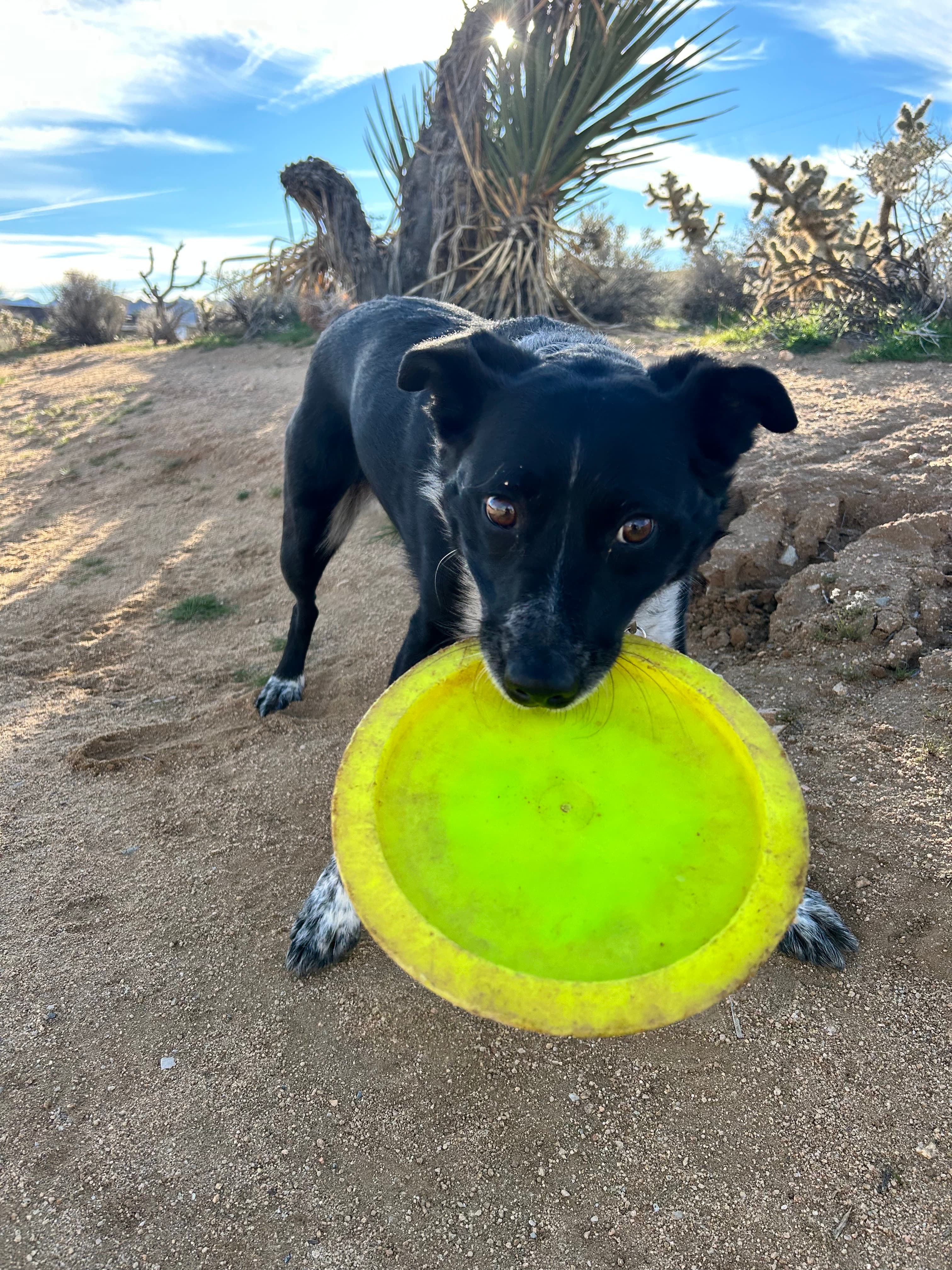 Mona, only a little excited.